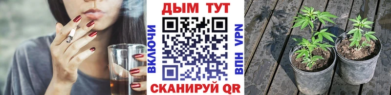 Каннабис ГИДРОПОН Великие Луки